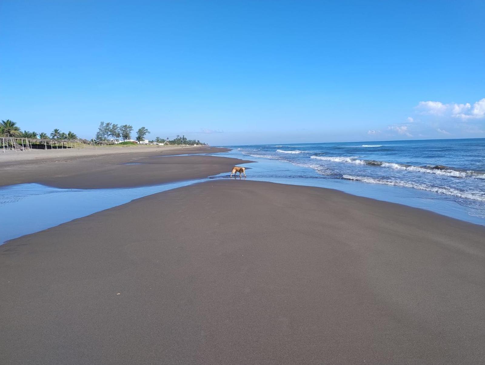 Playa Encantada Casitas Exteriér fotografie